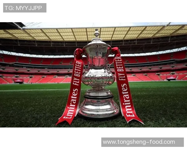 足总杯惊天逆转里昂5-1狂胜曼联全场沸腾数据深度解析