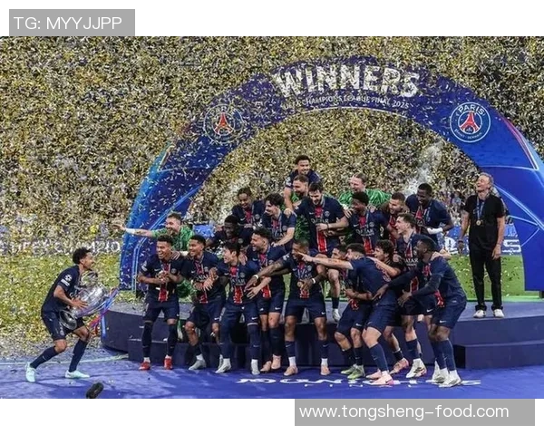 英超精彩对决巴黎圣日耳曼6比2波尔图补时绝杀点燃全场激情