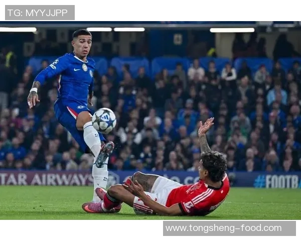 国王杯精彩对决多特蒙德大胜切尔西乌龙球引发全场欢呼