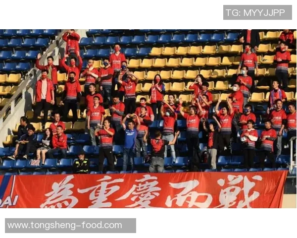 重庆网球队心理素质超群荣登全国网球心理素质排行榜第一名