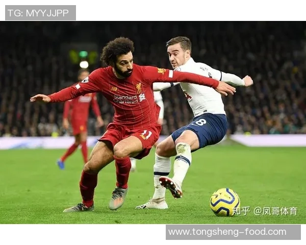 世界杯激战热刺与利物浦平局绝杀瞬间引发全场狂欢解析