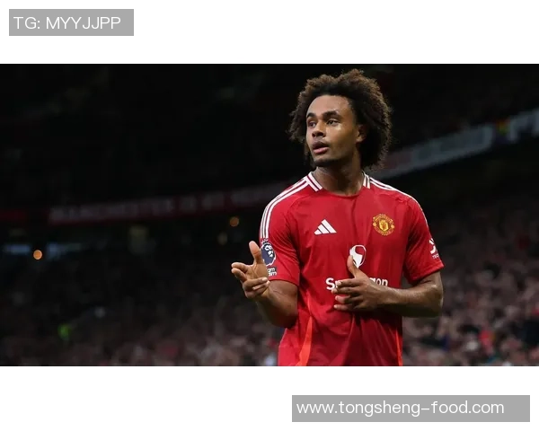 曼联友谊赛逆转尤文图斯全场沸腾转会传闻再起 曼联友谊赛逆转尤文图斯全场沸腾转会传闻再起