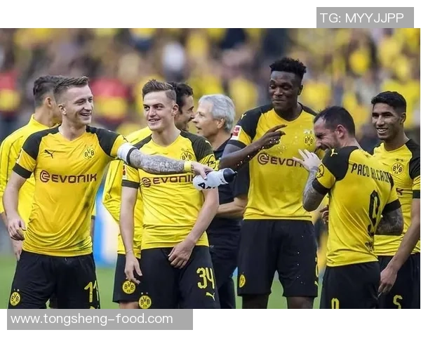 友谊赛精彩回顾多特蒙德大胜那不勒斯全场数据分析与绝杀时刻解读 友谊赛精彩回顾多特蒙德大胜那不勒斯全场数据分析与绝杀时刻解读