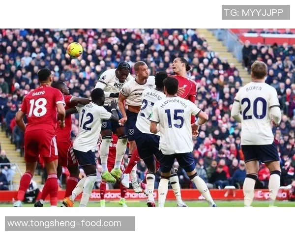 国王杯精彩对决那不勒斯狂胜利物浦帽子戏法引爆全场激情